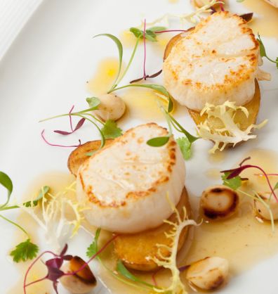 Scallops and Roasted Cobnut Salad desktop