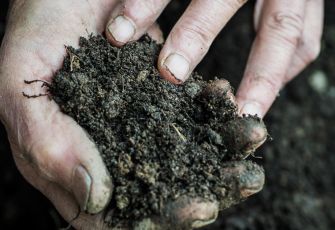 world soil day