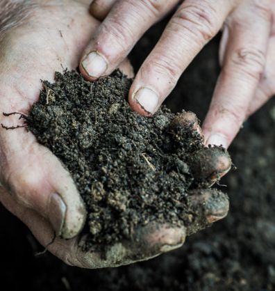 world soil day