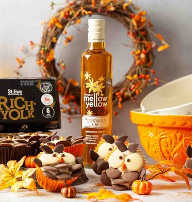 Chocolate Pumpkin Spiced Owl Cupcakes