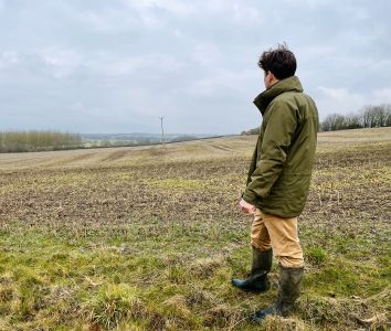 assessing the fields_February 2025