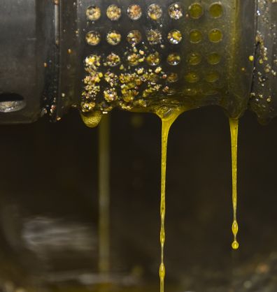 oil dripping from press